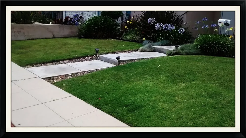 Affordable landscape design for homes in Redondo Beach, CA by Rogers Yard Care