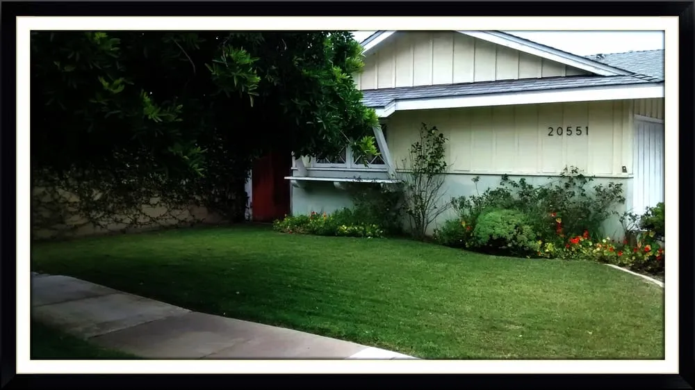 Trusted yard maintenance for year-round maintenance across Redondo Beach, CA - Rogers Yard Care