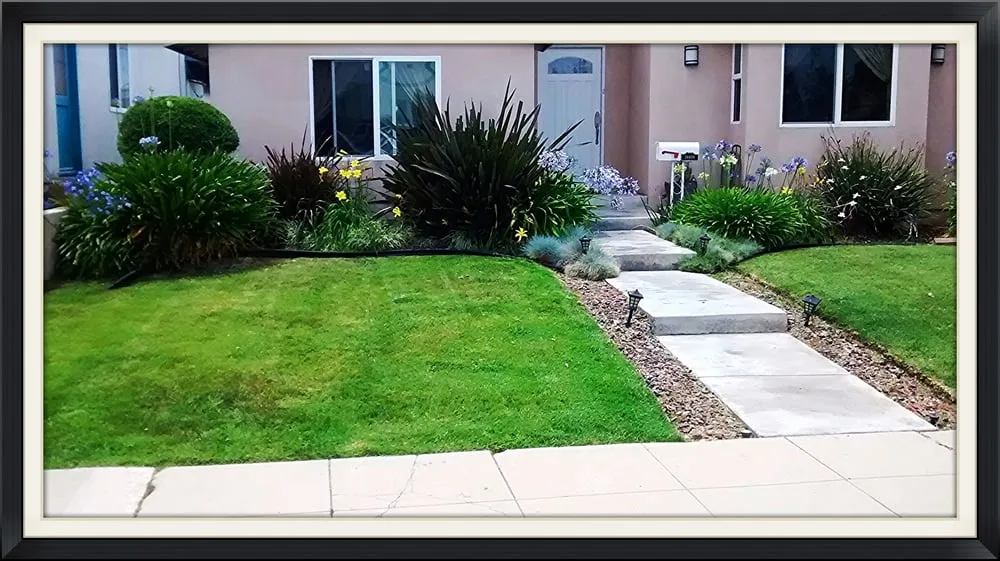 Local outdoor landscaping in Redondo Beach, CA - Rogers Yard Care