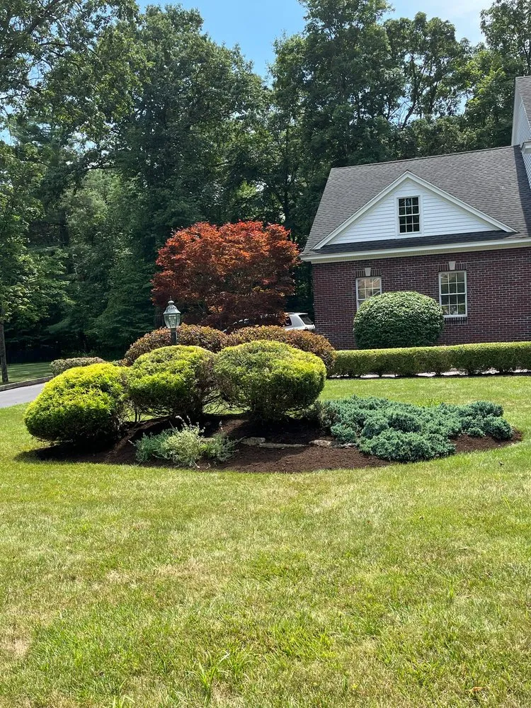 Top-rated lawn care service experts serving Guilderland, NY - Rogotzke Landscaping