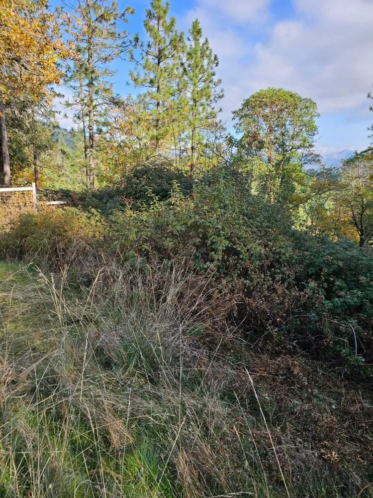 Reliable landscape design near you in Grants Pass, OR by Rogue Apple Junk Removal & More