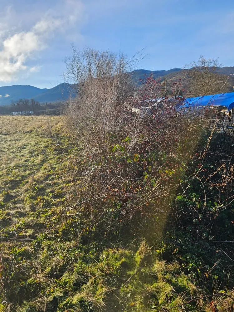 Trusted garden landscaping in Grants Pass, OR - Rogue Apple Junk Removal & More