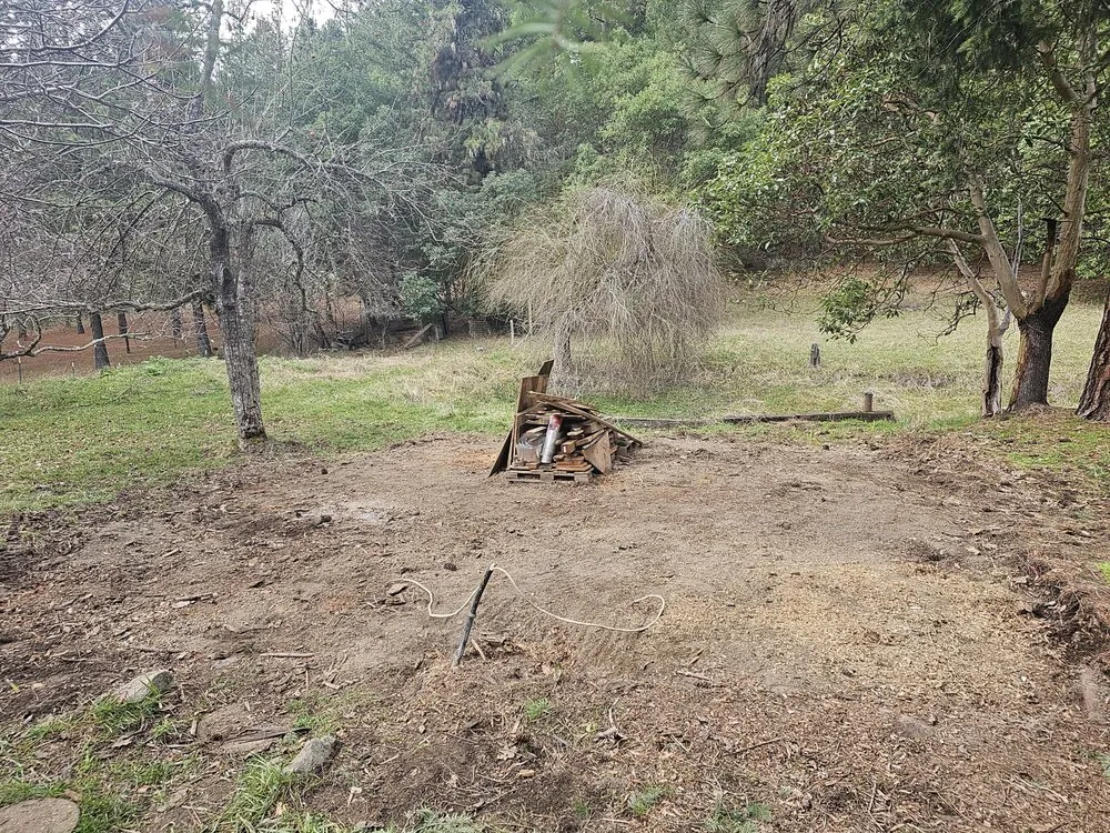 Affordable yard maintenance near you in Grants Pass, OR by Rogue Apple Junk Removal & More