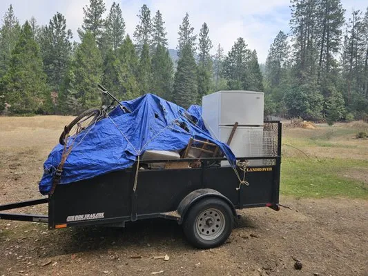 Rogue Apple Junk Removal & More