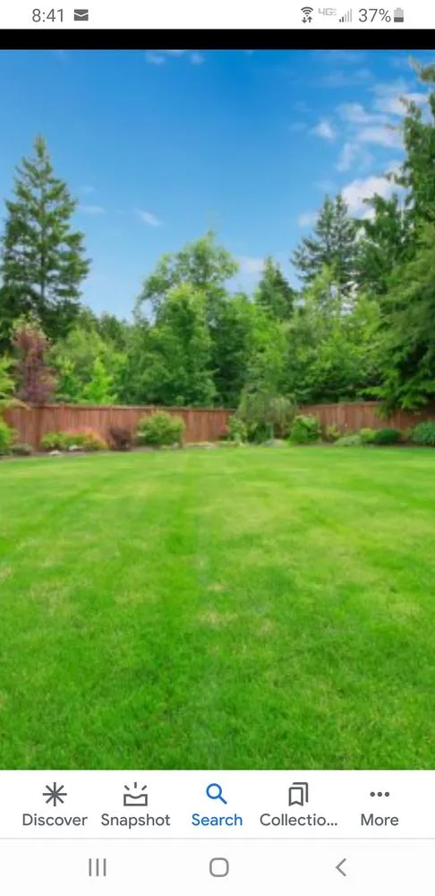 Trusted yard maintenance in East Grand Forks, MN by Rogue Lawn Service