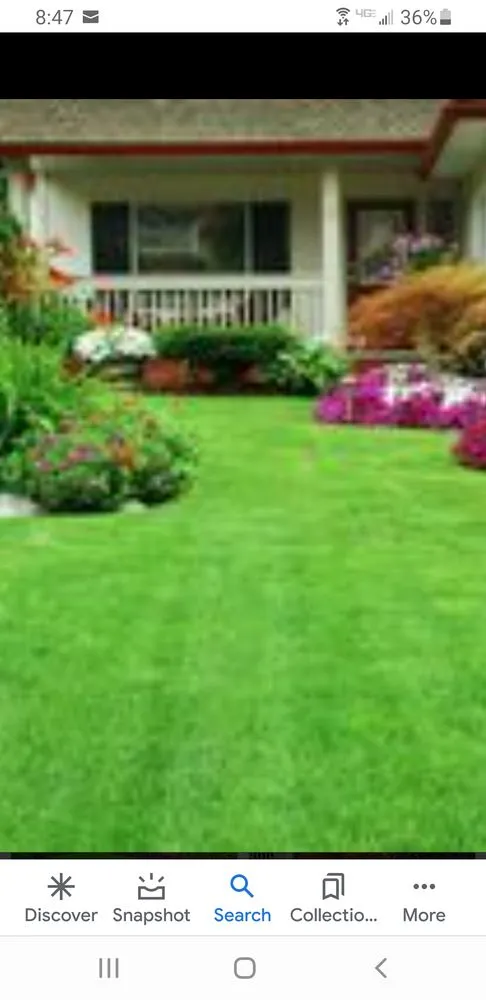 Affordable landscaping services experts serving East Grand Forks, MN - Rogue Lawn Service