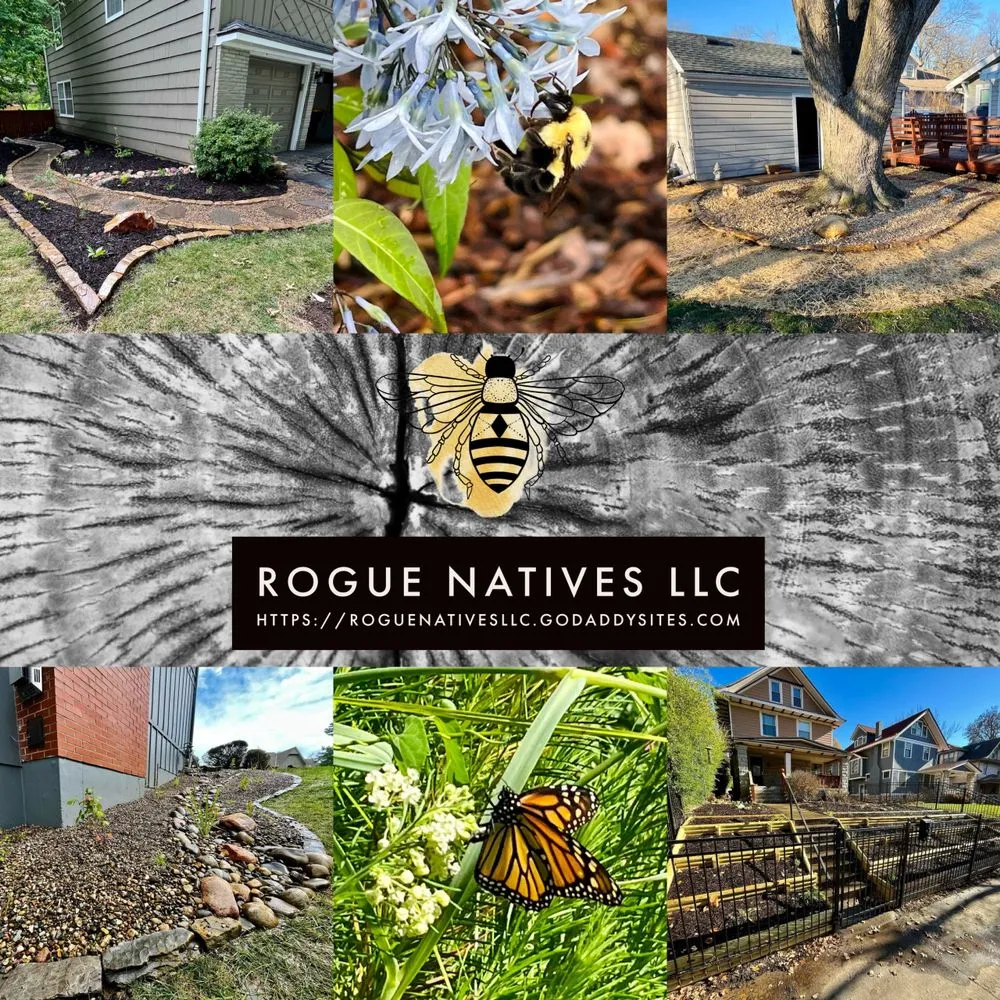 Affordable garden landscaping in Lees Summit, MO by Rogue Natives
