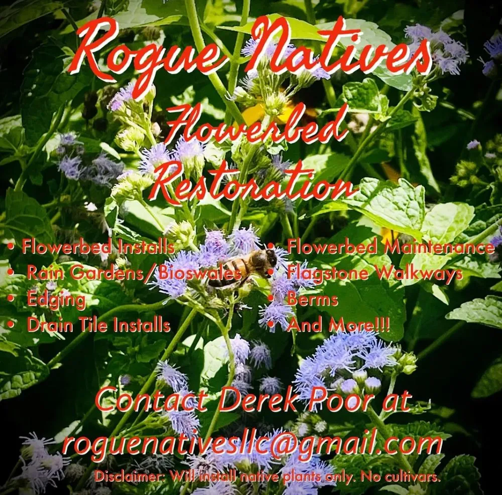 Custom lawn mowing service experts serving Lees Summit, MO - Rogue Natives