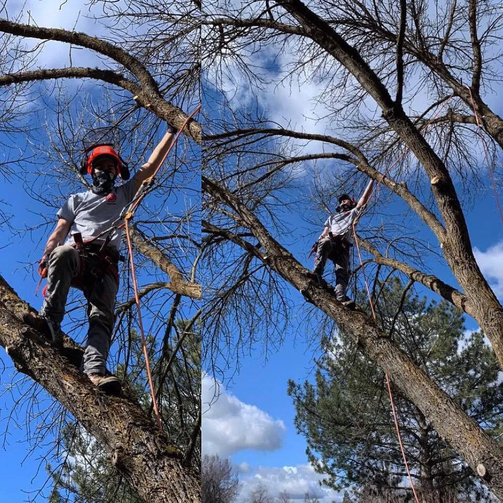 Local outdoor landscaping for residential properties in Central Point, OR by Rogue Valley Ground Maintenance