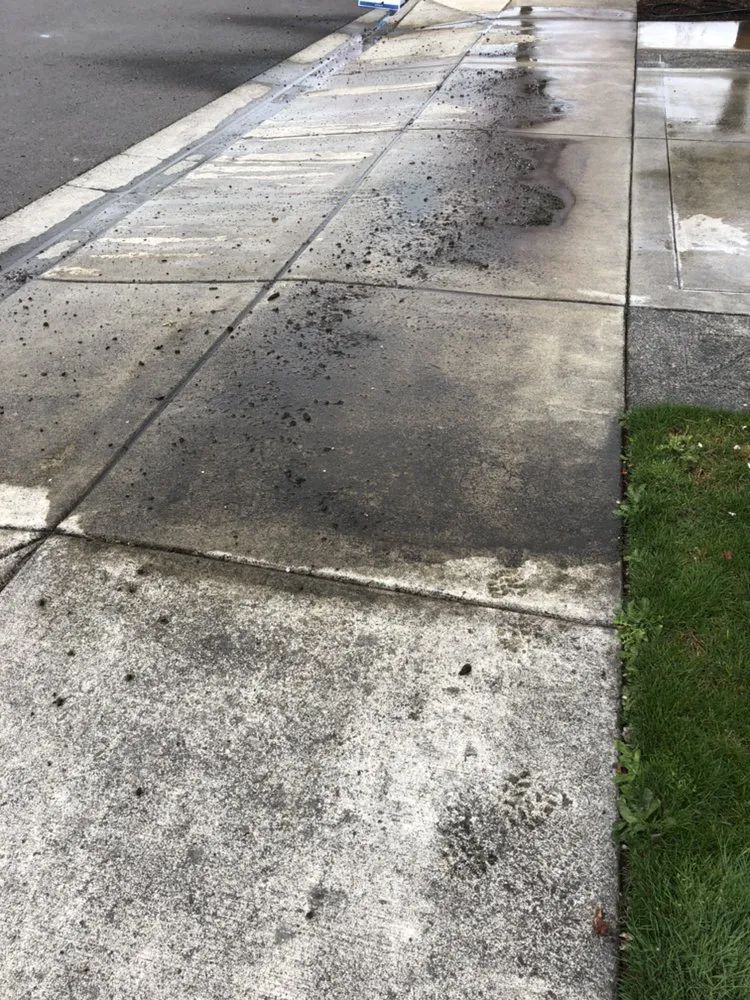 Reliable landscape installation in Central Point, OR by Rogue Valley Ground Maintenance