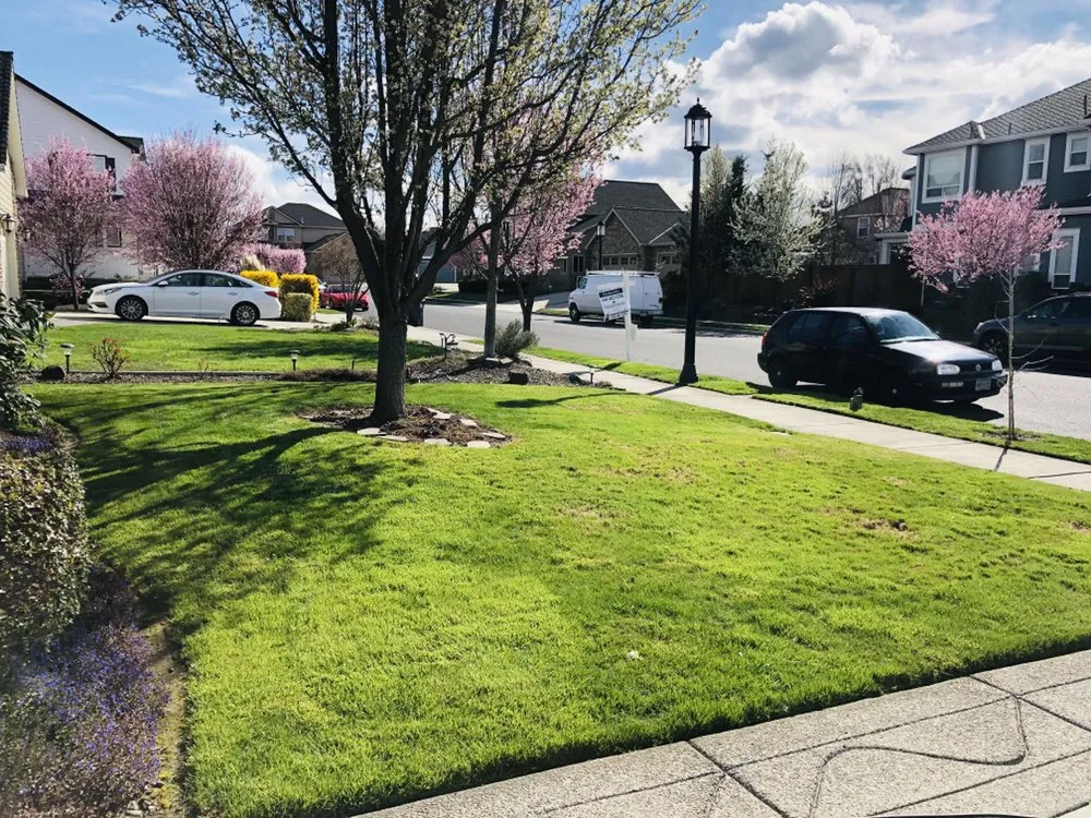 Affordable outdoor landscaping in Central Point, OR - Rogue Valley Ground Maintenance