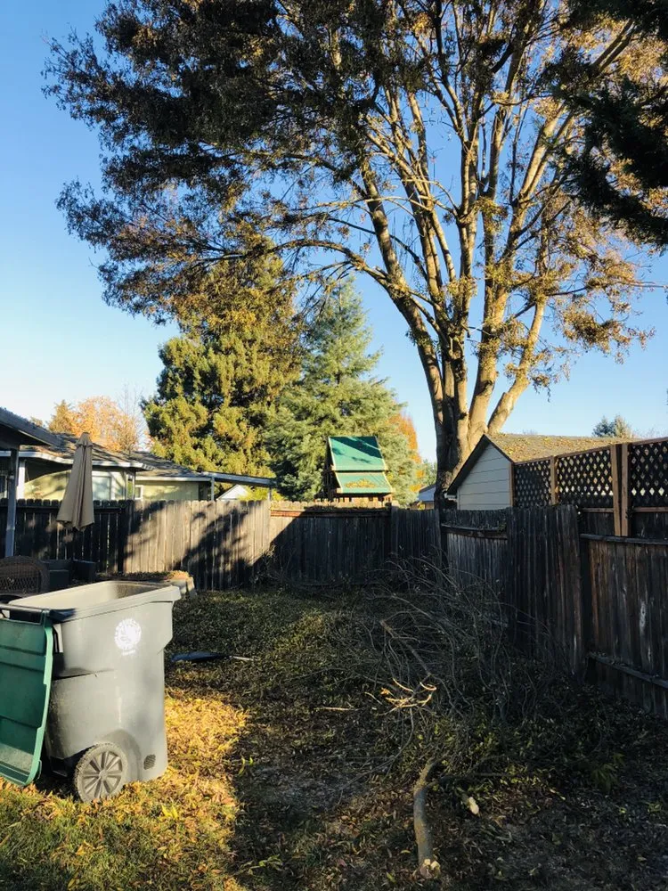 Top-rated yard cleanup service in Central Point, OR - Rogue Valley Ground Maintenance