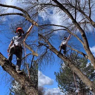 Rogue Valley Ground Maintenance Logo