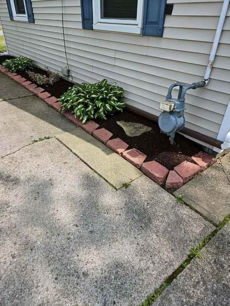 Expert yard cleanup service in Elyria, OH by Rohan Lawn & Property Maintenance