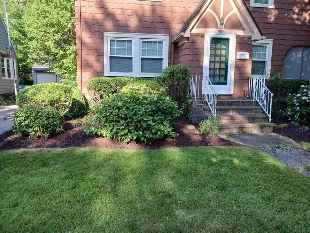 Expert yard cleanup service in Elyria, OH - Rohan Lawn & Property Maintenance