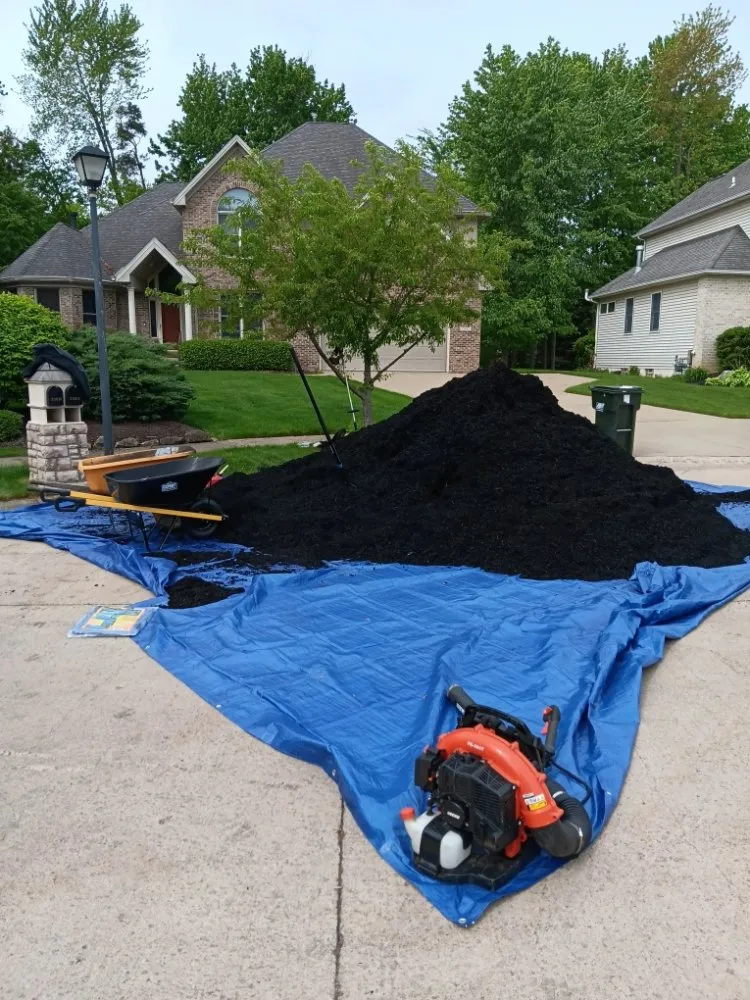 Top-rated lawn mowing service experts serving Elyria, OH - Rohan Lawn & Property Maintenance