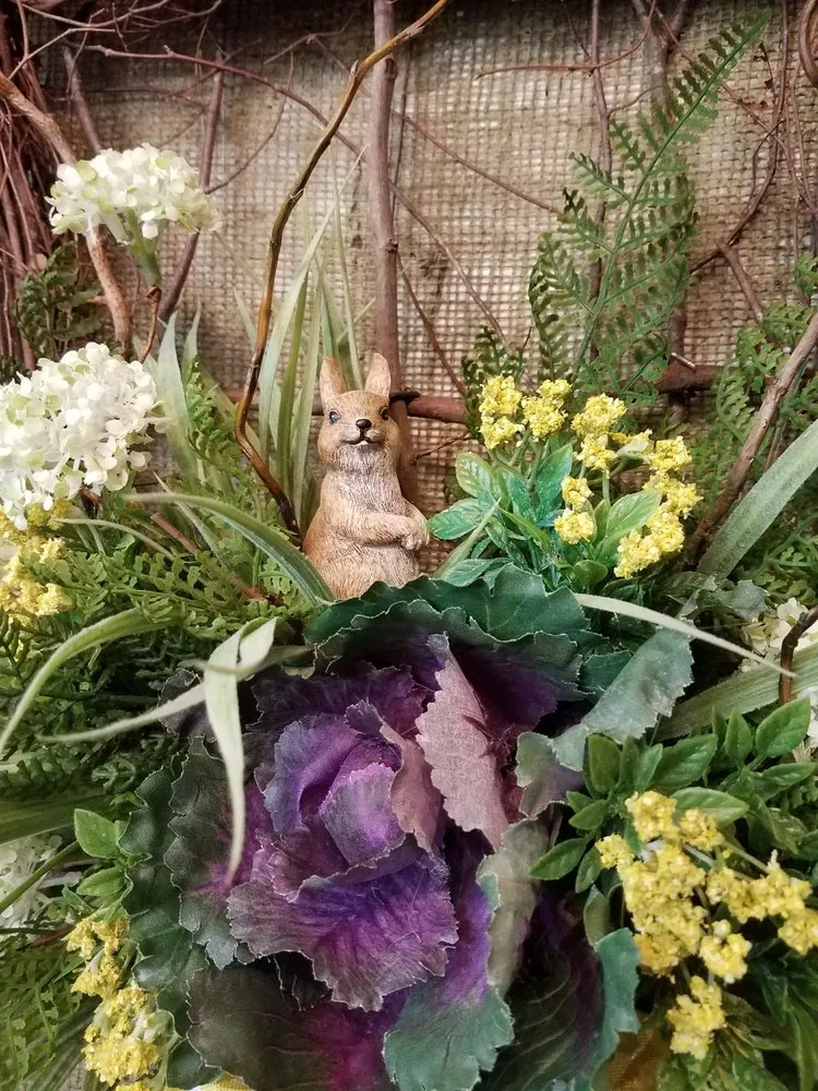 Top-rated lawn mowing service in Massillon, OH by Rohr & Sons Nursery