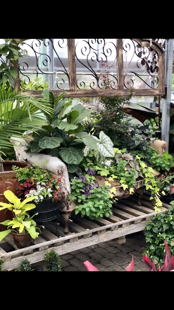 Reliable lawn mowing service for beautiful yards across Massillon, OH - Rohr & Sons Nursery