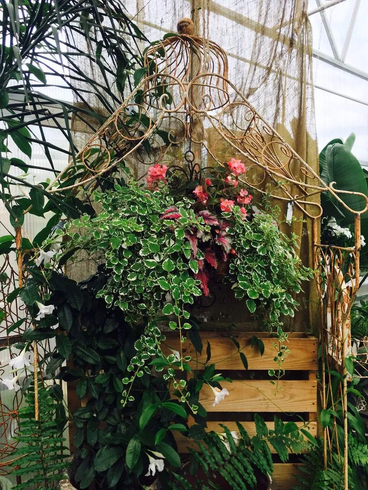 Local yard maintenance in Massillon, OH by Rohr & Sons Nursery