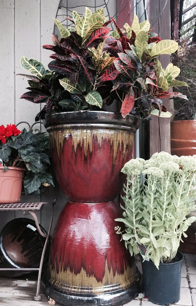 Top-rated landscaping services experts serving Massillon, OH - Rohr & Sons Nursery