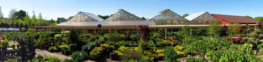 Reliable residential landscaping with custom design across Massillon, OH - Rohr & Sons Nursery