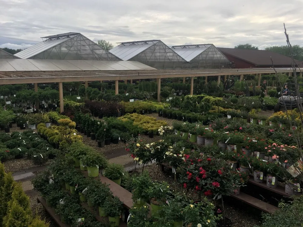 Professional lawn mowing service in Massillon, OH - Rohr & Sons Nursery