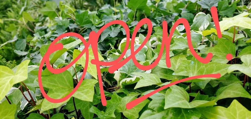 Expert outdoor landscaping for beautiful yards in Massillon, OH by Rohr & Sons Nursery