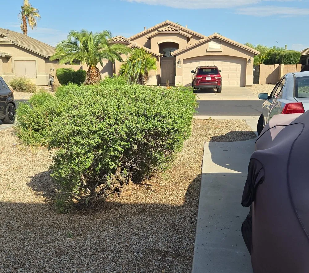 Professional landscaping services in Phoenix, AZ - Rohrs Landscaping Of Arizona