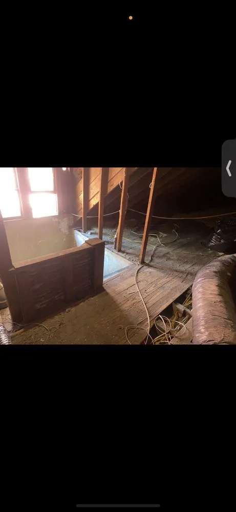 Expert lawn care service experts serving Farmington, MI - ROI Property Services