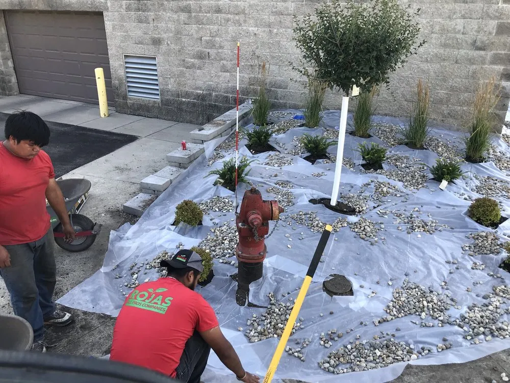 Top-rated yard maintenance in Faribault, MN by Rojas All Pros Companies