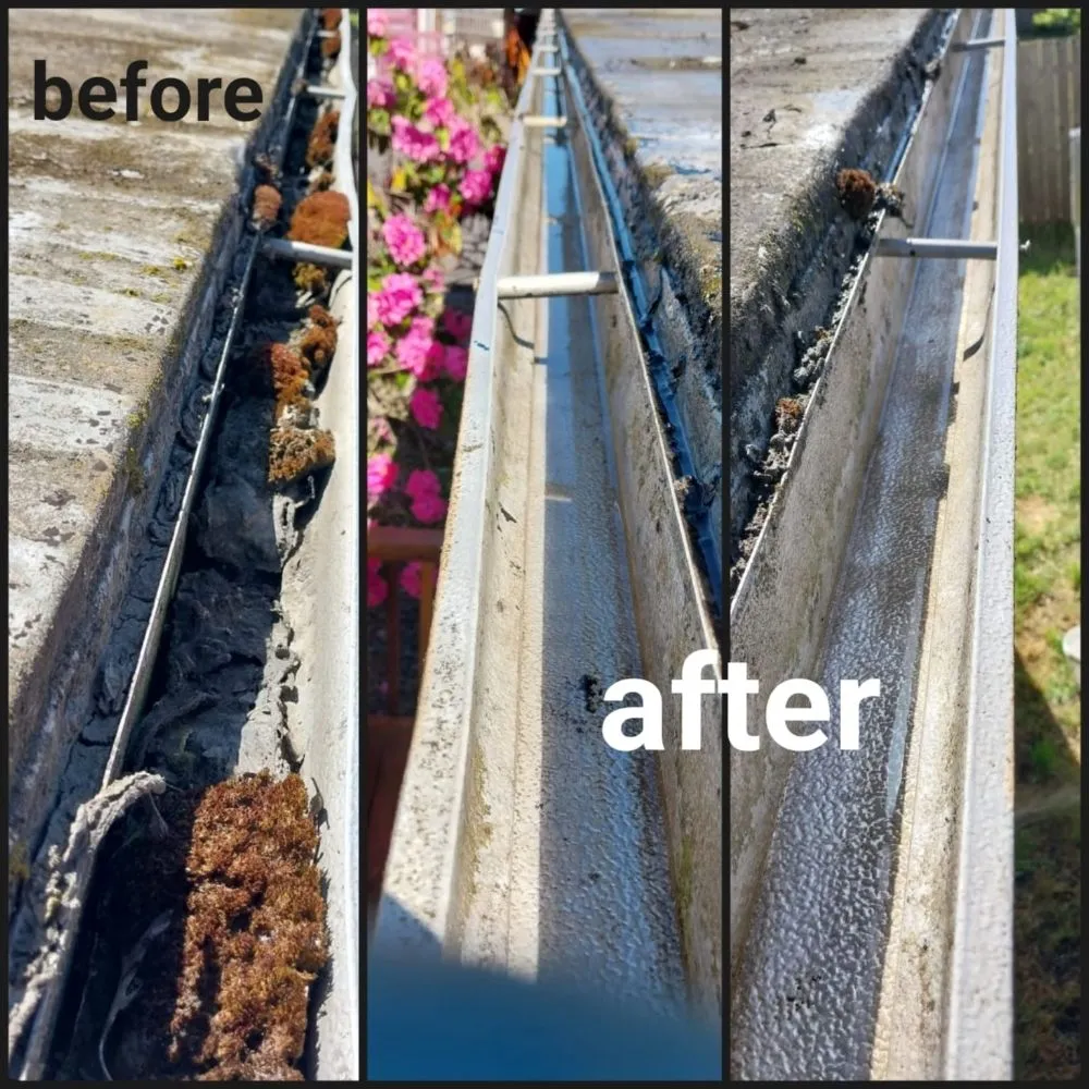 Professional garden landscaping for homes across Springfield, OR - Rojas Complete Garden Solutions