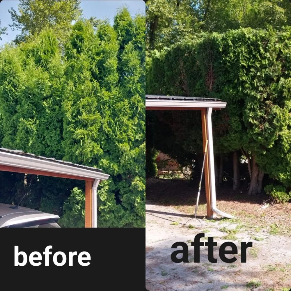 Local lawn mowing service in Springfield, OR by Rojas Complete Garden Solutions