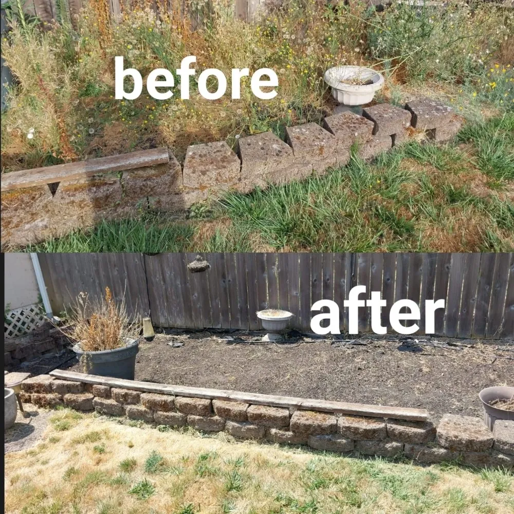 Affordable garden landscaping for residential properties across Springfield, OR - Rojas Complete Garden Solutions