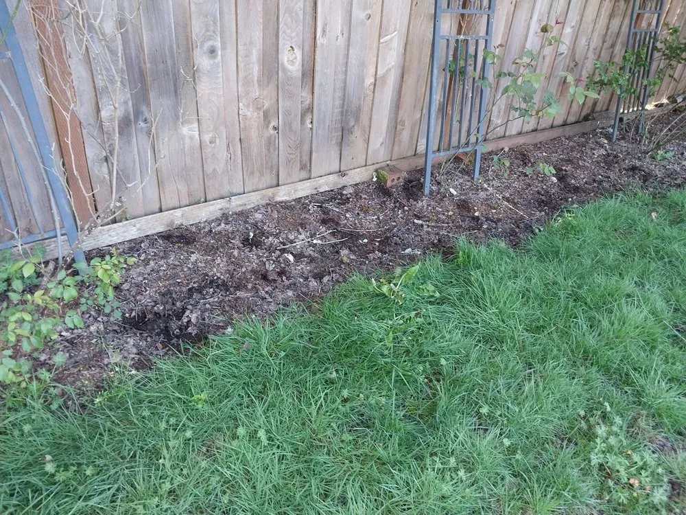 Affordable landscape design experts serving Springfield, OR - Rojas Complete Garden Solutions