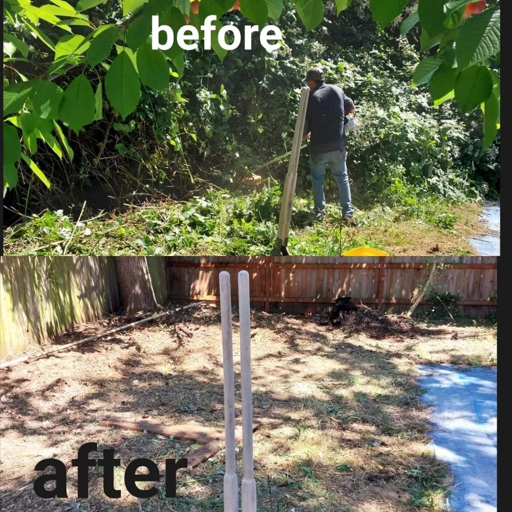 Custom yard cleanup service experts serving Springfield, OR - Rojas Complete Garden Solutions