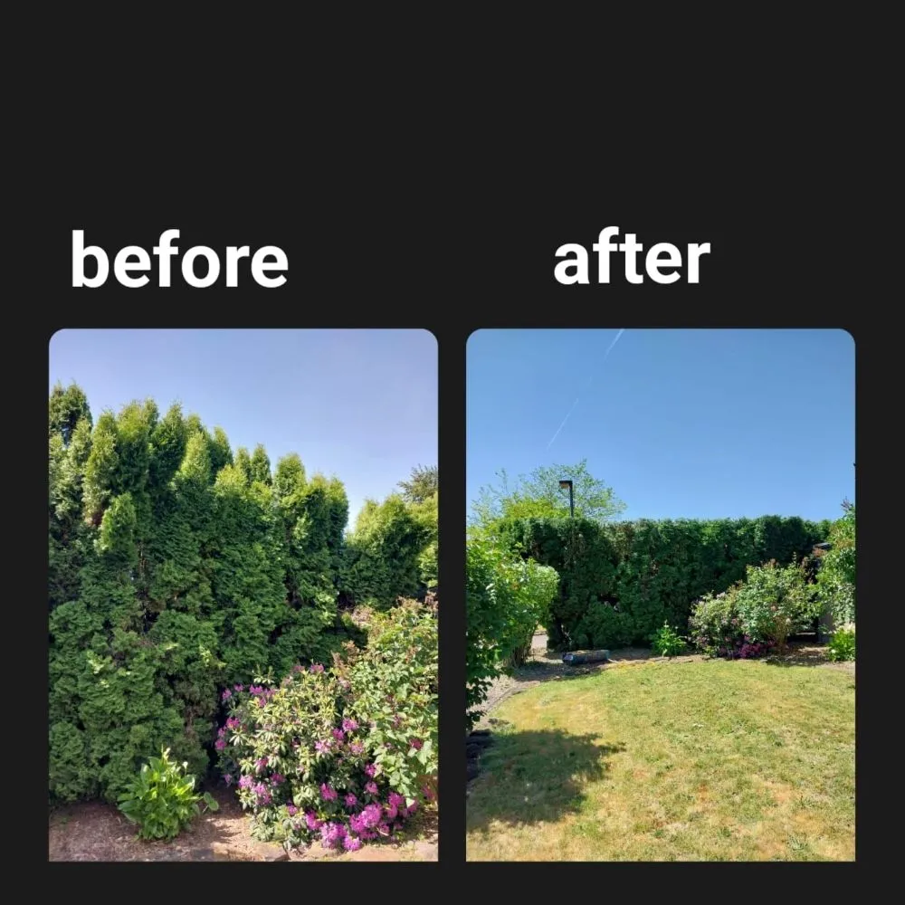 Professional landscaping services in Springfield, OR - Rojas Complete Garden Solutions