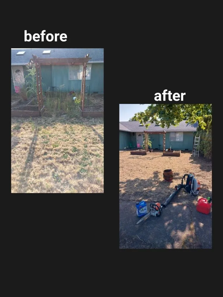 Trusted yard maintenance in Springfield, OR by Rojas Complete Garden Solutions