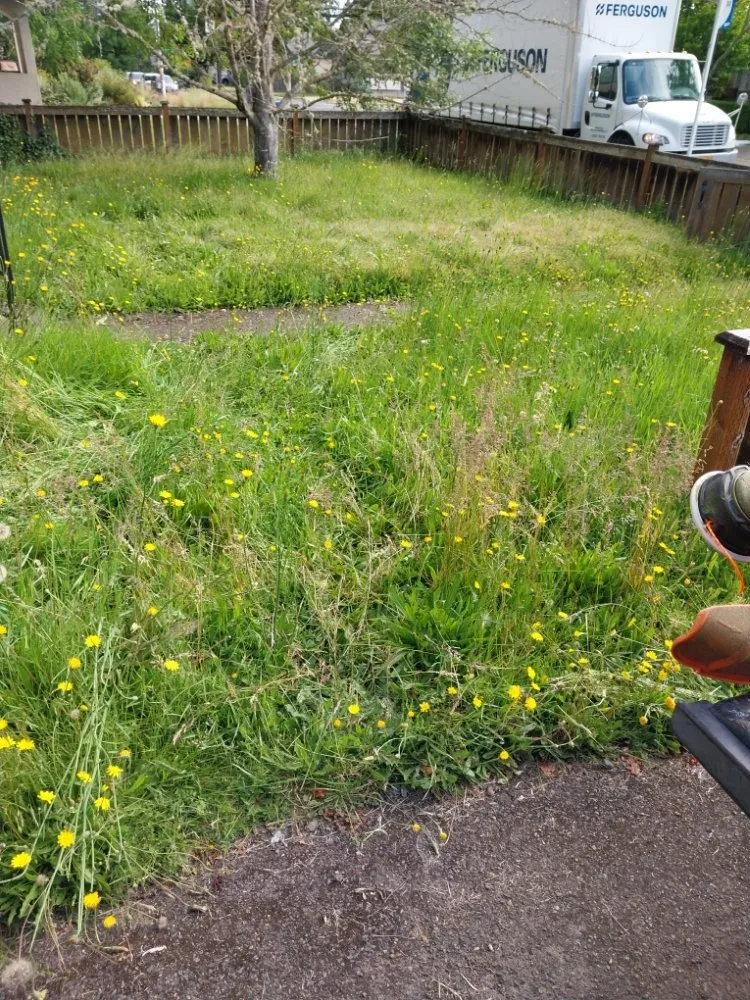 Trusted landscape installation in Springfield, OR - Rojas Complete Garden Solutions