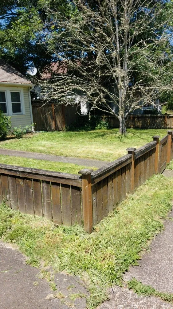 Local lawn care service for outdoor upgrades in Springfield, OR by Rojas Complete Garden Solutions