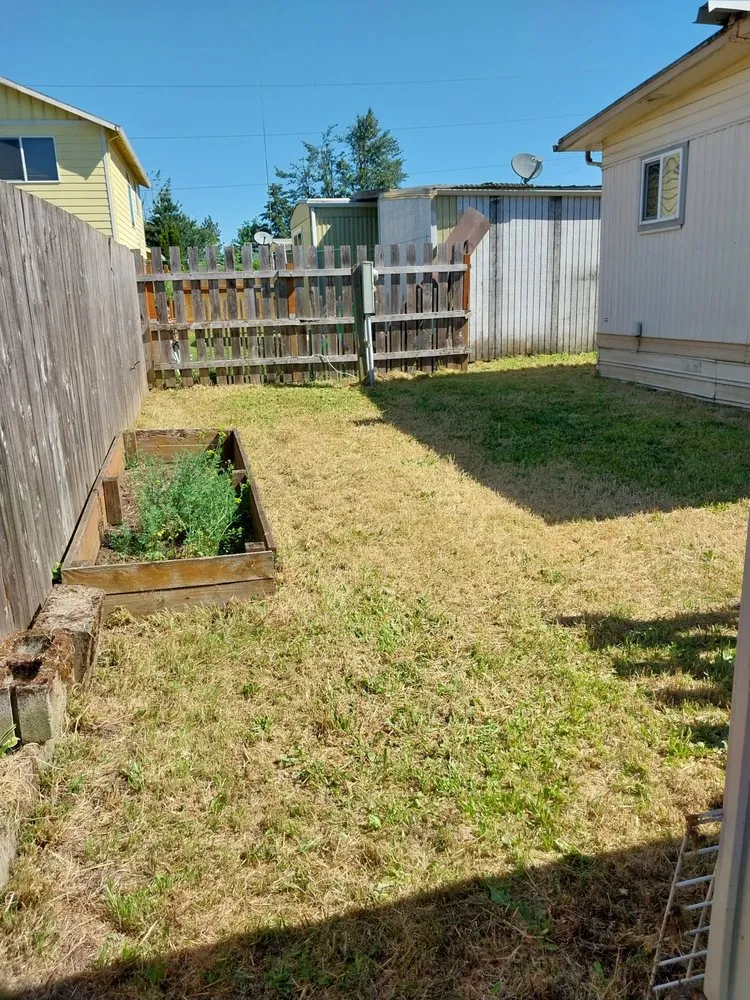 Professional yard maintenance experts serving Springfield, OR - Rojas Complete Garden Solutions