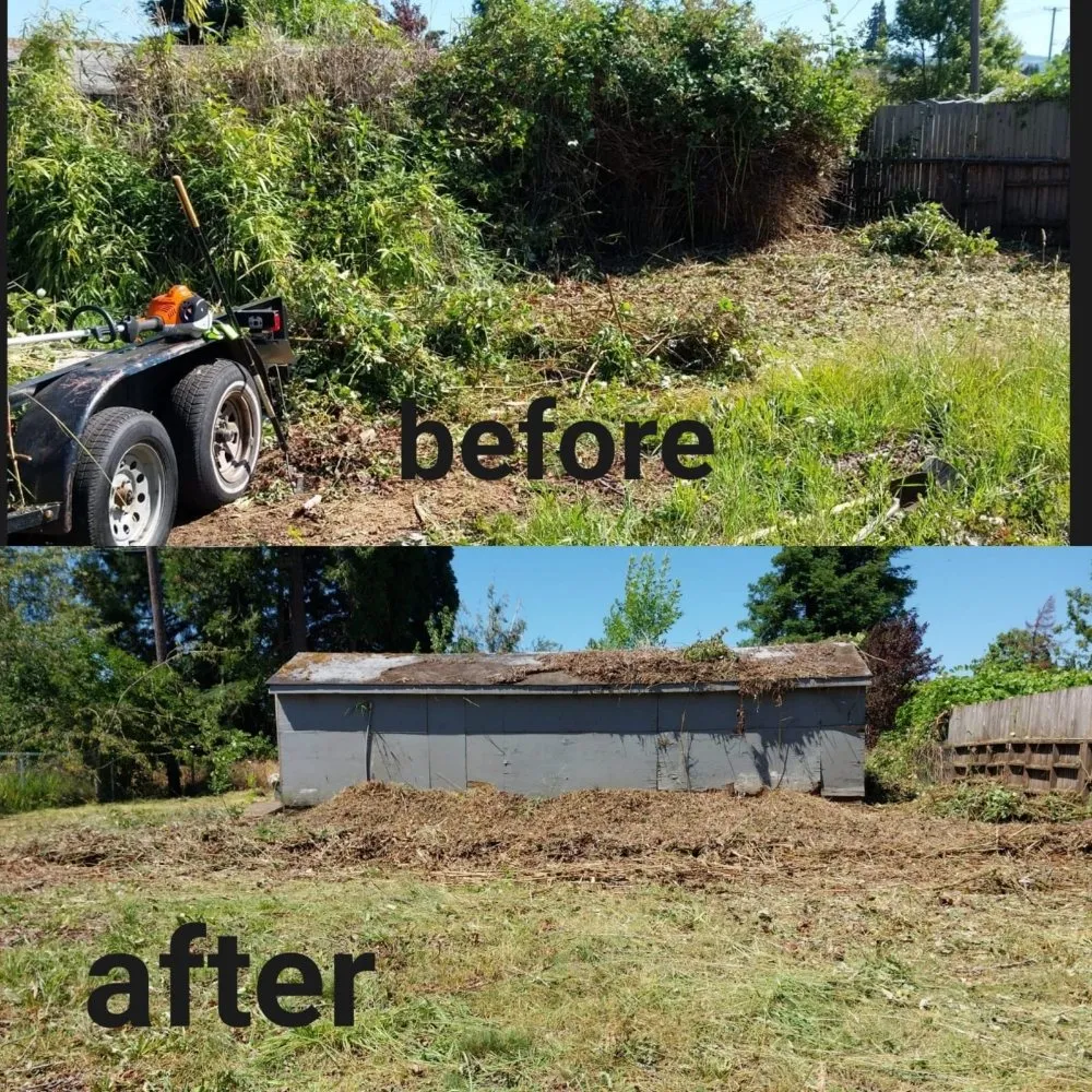Custom landscape installation in Springfield, OR - Rojas Complete Garden Solutions