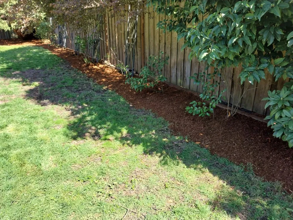 Professional residential landscaping for year-round maintenance across Springfield, OR - Rojas Complete Garden Solutions