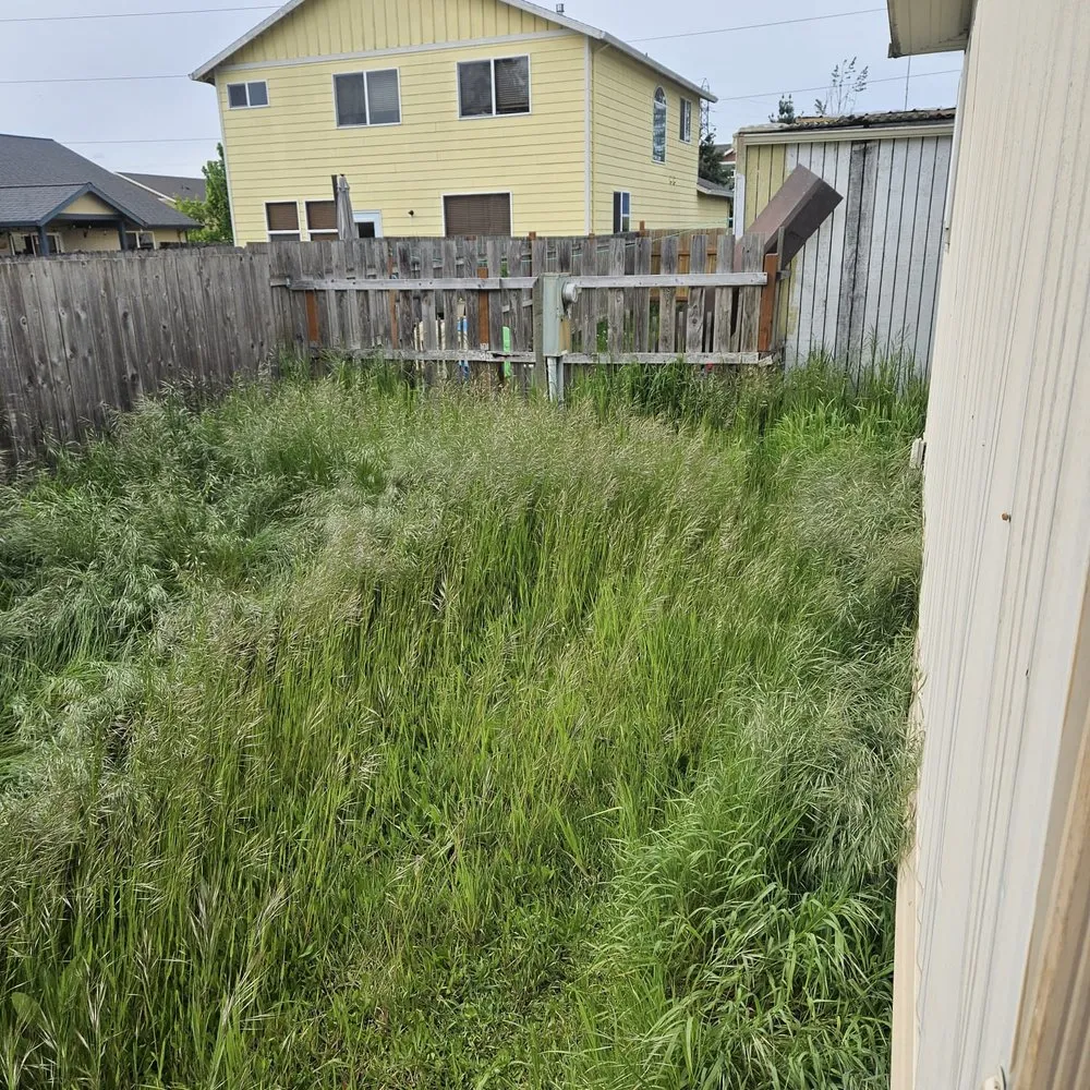 Top-rated residential landscaping in Springfield, OR - Rojas Complete Garden Solutions