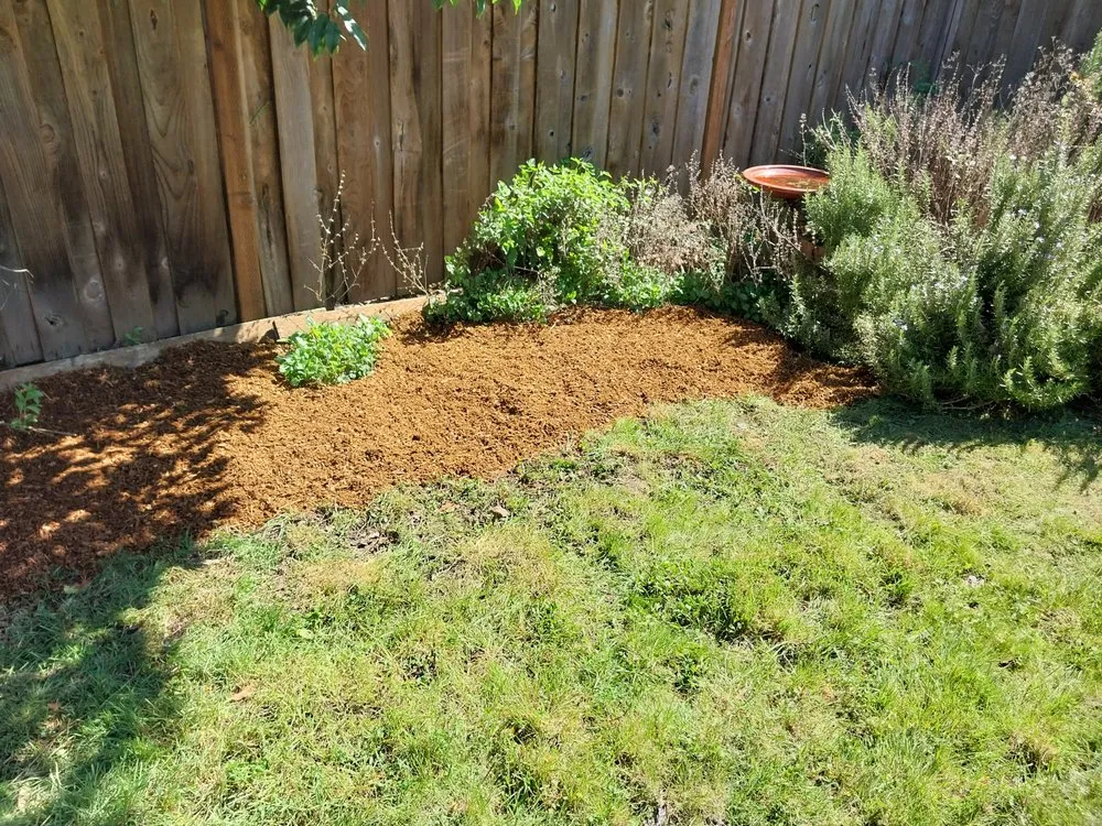 Trusted landscaping services in Springfield, OR by Rojas Complete Garden Solutions