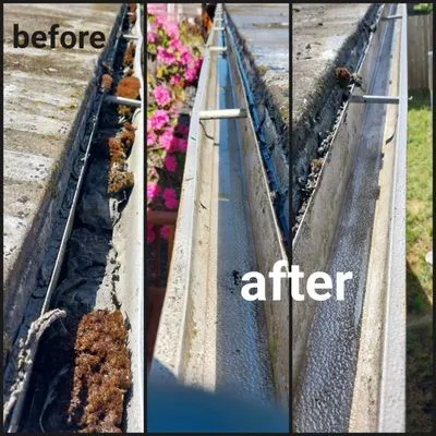 Rojas Complete Garden Solutions