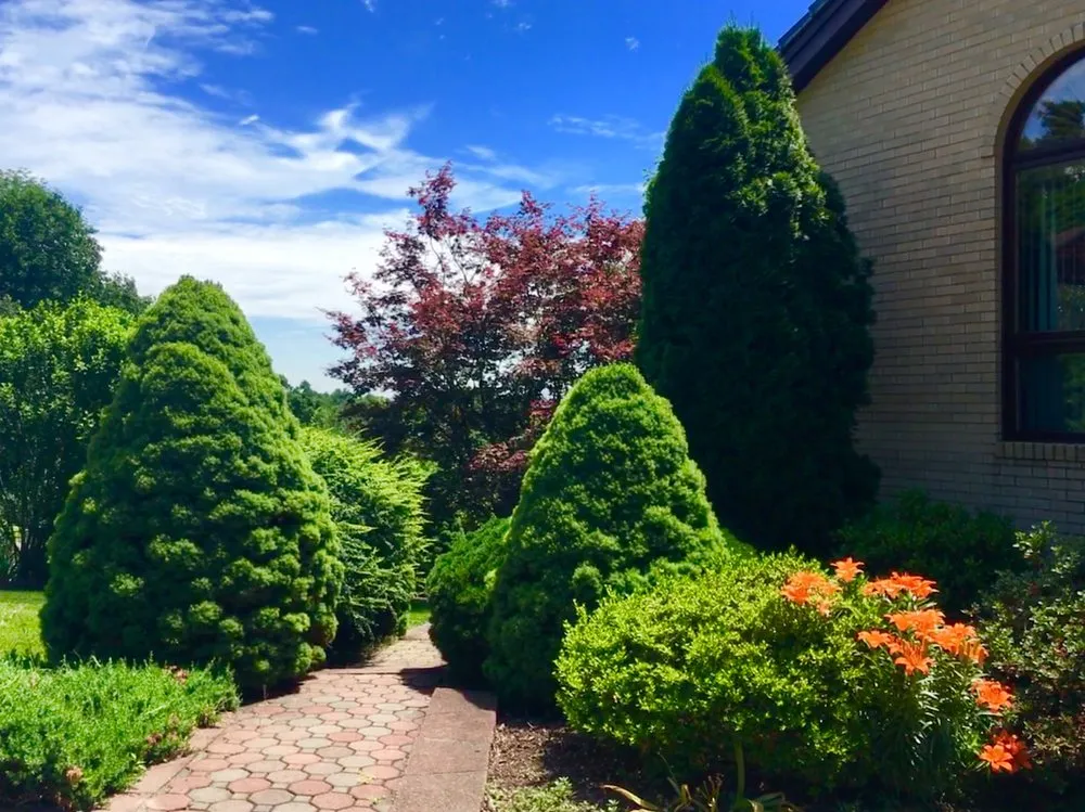 Reliable yard maintenance in Summit, NJ - Rojas Construction and Landscaping