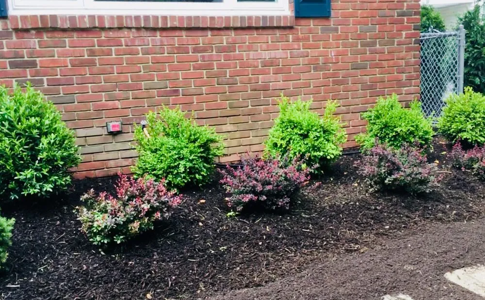 Expert landscape installation near you across Summit, NJ - Rojas Construction and Landscaping