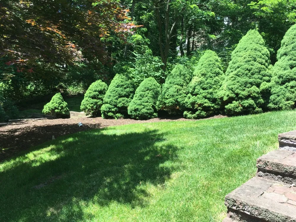 Professional garden landscaping in Summit, NJ by Rojas Construction and Landscaping