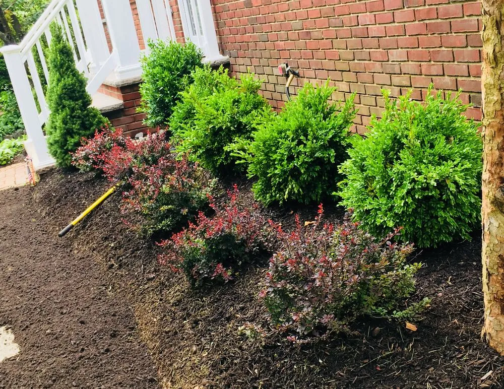 Expert lawn care service for beautiful yards across Summit, NJ - Rojas Construction and Landscaping