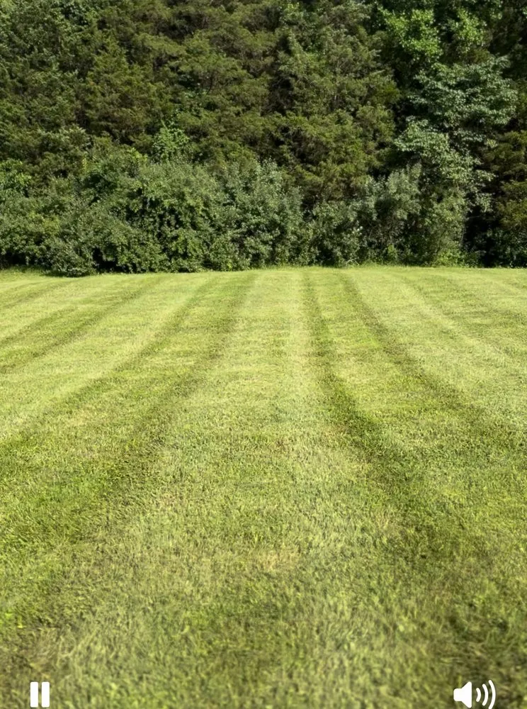 Affordable landscape design in Jeffersontown, KY - Rojas Contractors and Landscaping